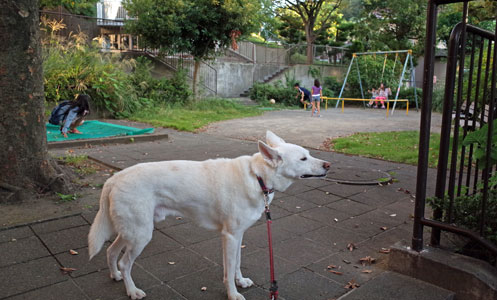 a0117039_23532811.jpg
