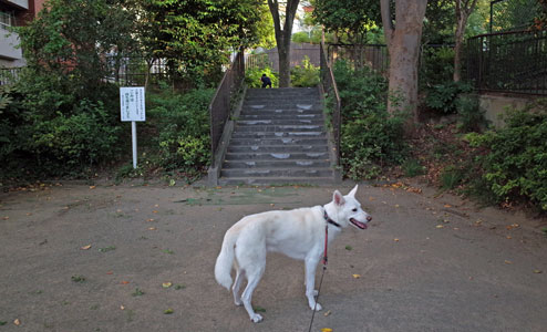 a0117039_23544241.jpg