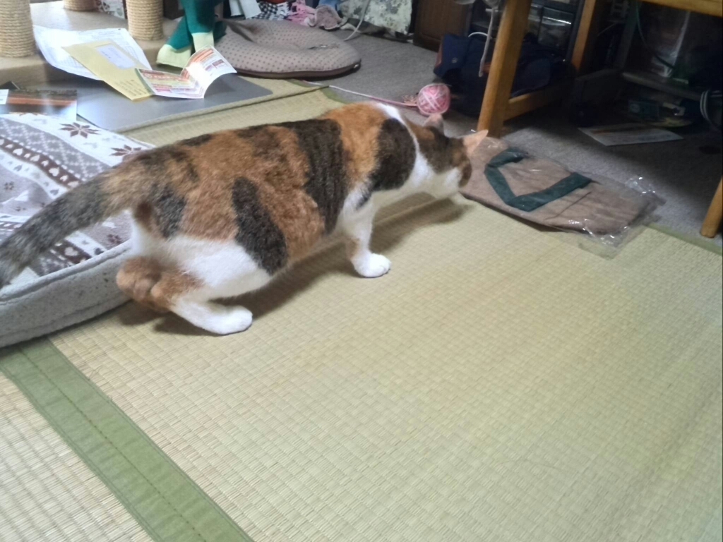 c0194042_15523242.jpg