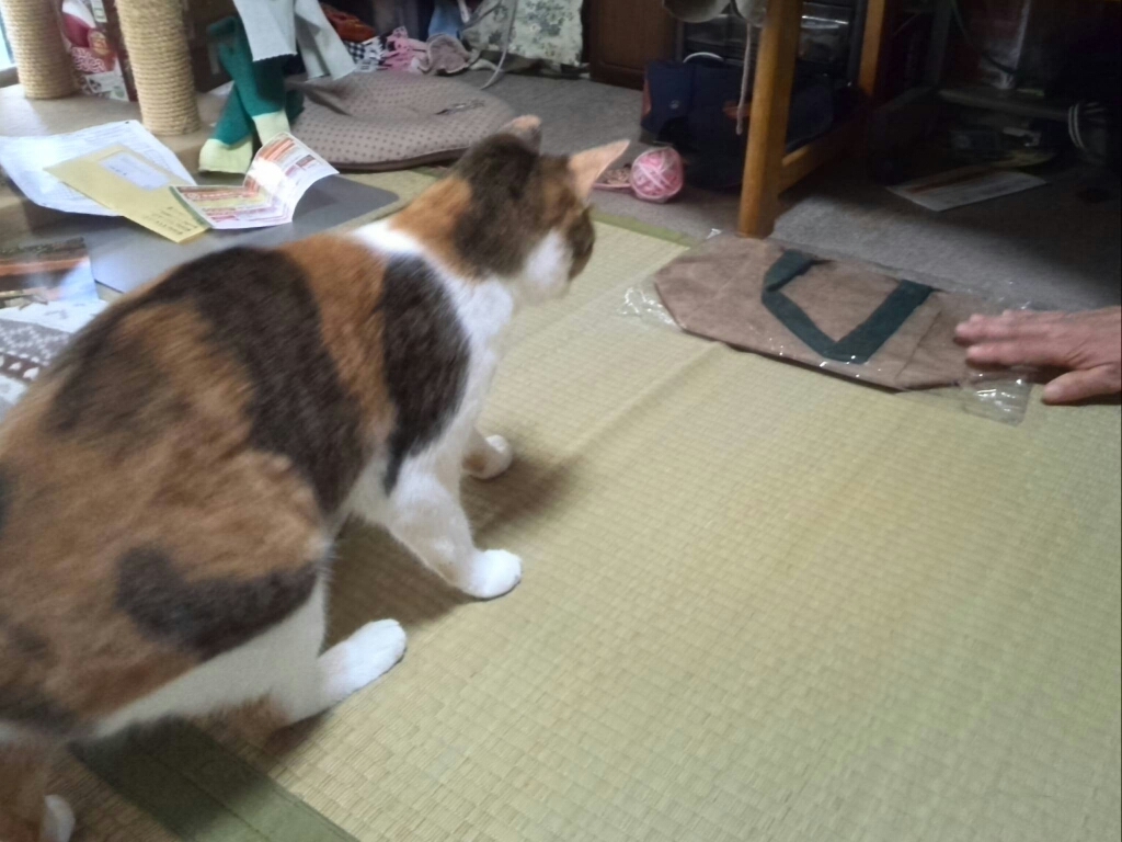 c0194042_15523420.jpg