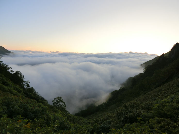 d0149245_18245236.jpg
