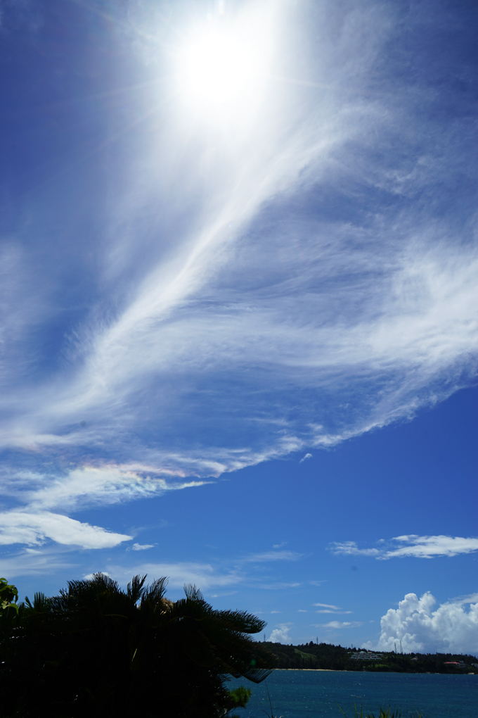 b0049152_8345124.jpg