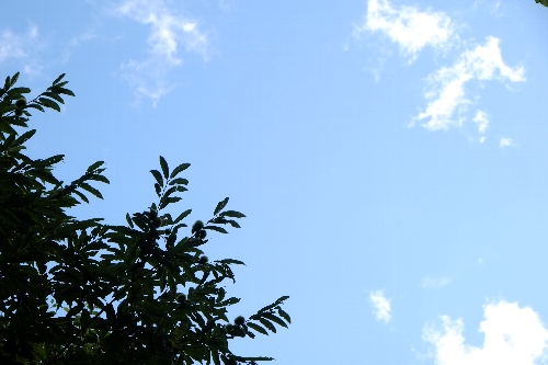 f0035962_2254886.jpg