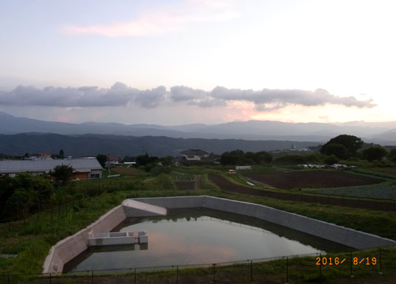 b0075364_1012117.jpg