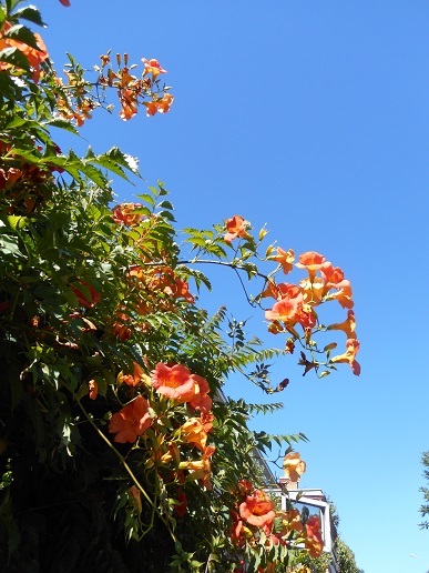 c0221565_01511629.jpg