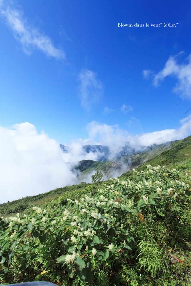 f0251765_6371732.jpg