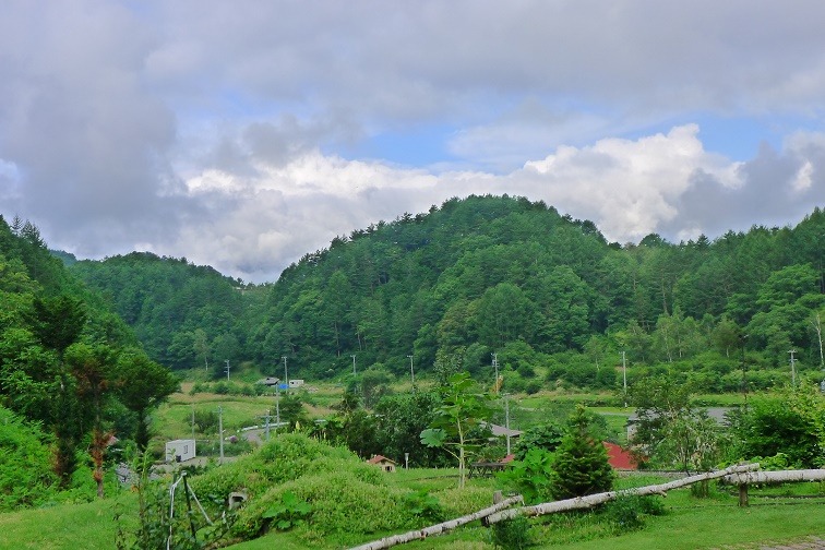 a0130586_833411.jpg