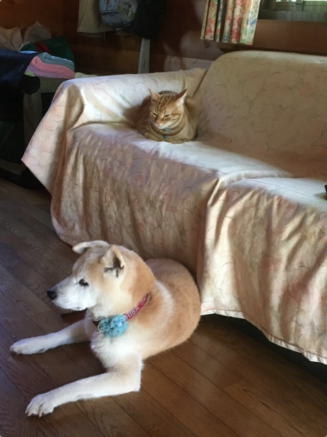 c0123890_15133972.jpg