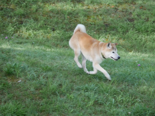 c0123890_15143017.jpg