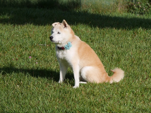 c0123890_15144726.jpg