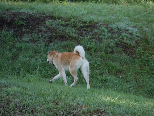 c0123890_15151040.jpg