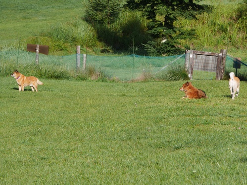 c0123890_1515338.jpg