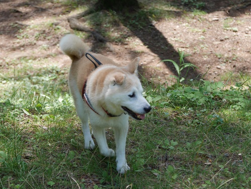 c0123890_1592440.jpg