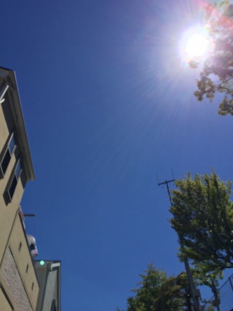 f0130894_22252876.jpg