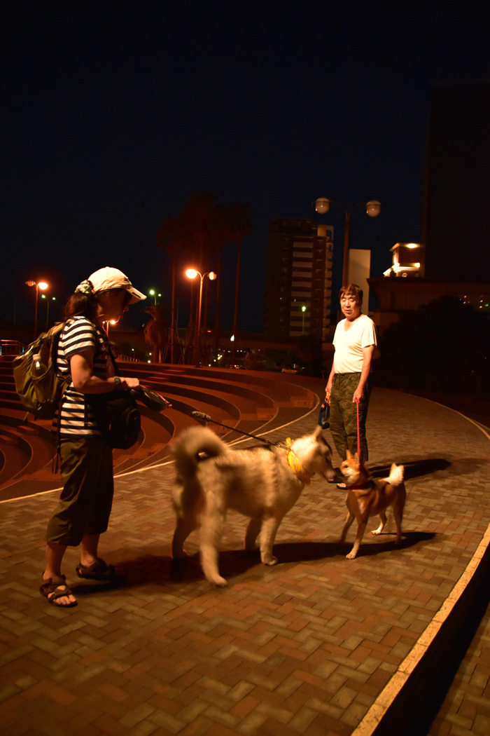 c0049299_22521986.jpg