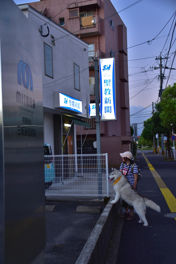 c0049299_23113750.jpg
