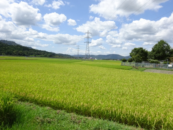 c0266004_11163544.jpg