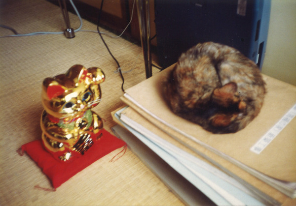 d0144114_09385047.jpg
