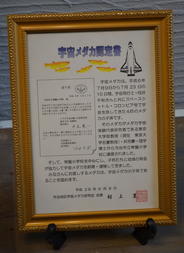 f0191517_16435542.jpg
