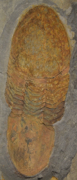 f0191517_17133622.jpg