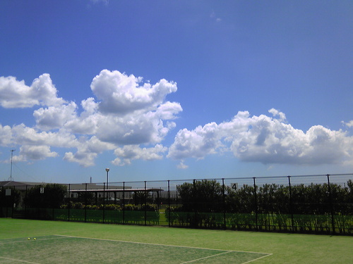 b0285619_852828.jpg