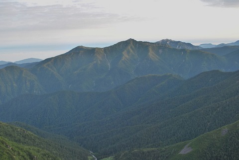 f0000521_538829.jpg