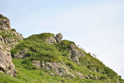 f0000521_6285258.jpg