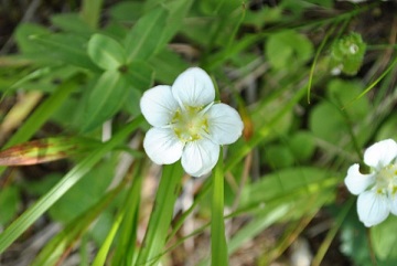 f0000521_6391475.jpg