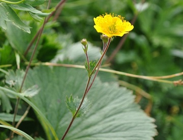 f0000521_6434918.jpg