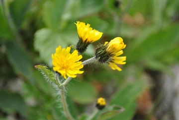 f0000521_644593.jpg