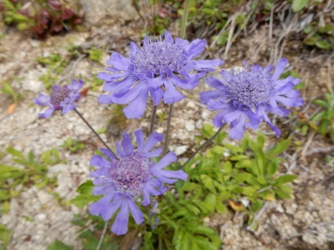 f0000521_72191.jpg