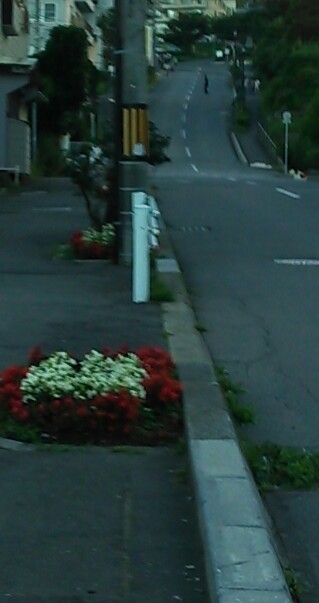 b0082125_12115276.jpg