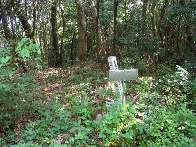 e0272335_19175241.jpg
