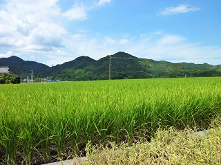 c0179853_18215244.jpg
