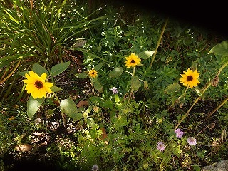 e0004756_20224685.jpg