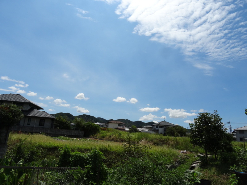 c0108460_16453644.jpg