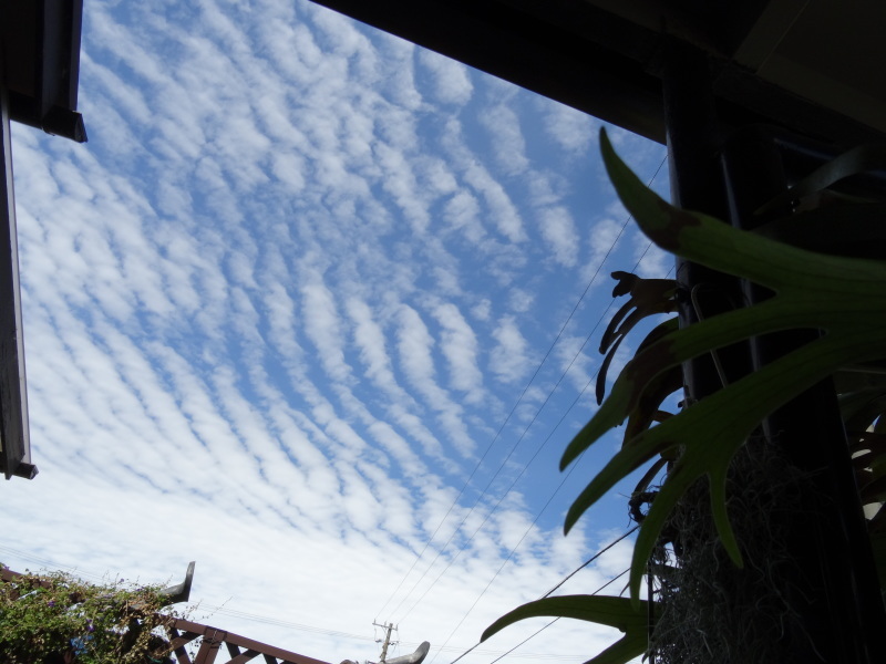 c0108460_16454464.jpg
