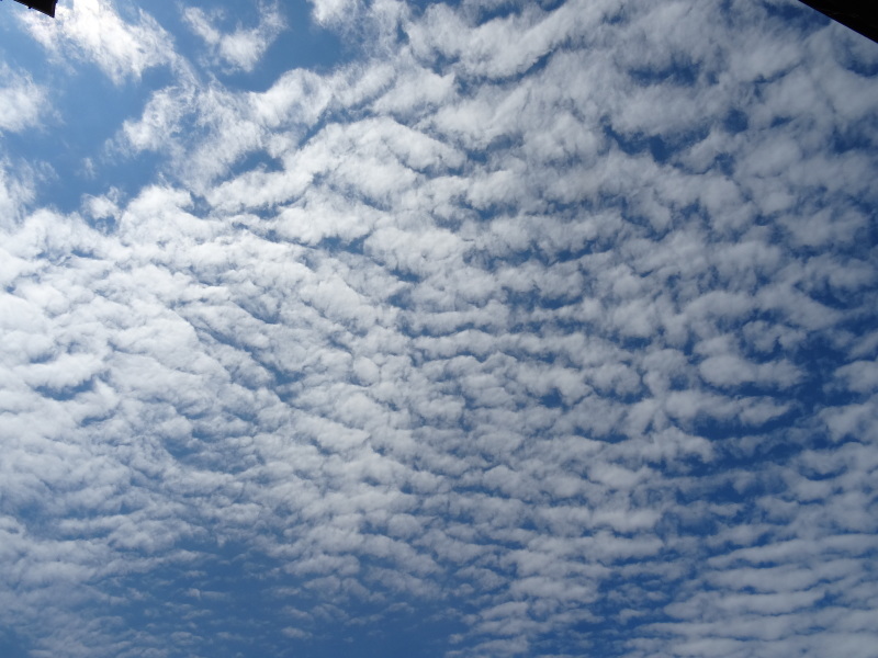c0108460_16454826.jpg