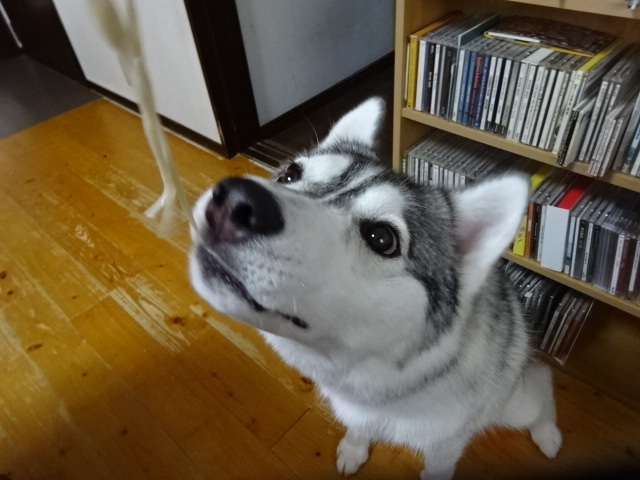 a0241761_21261115.jpg