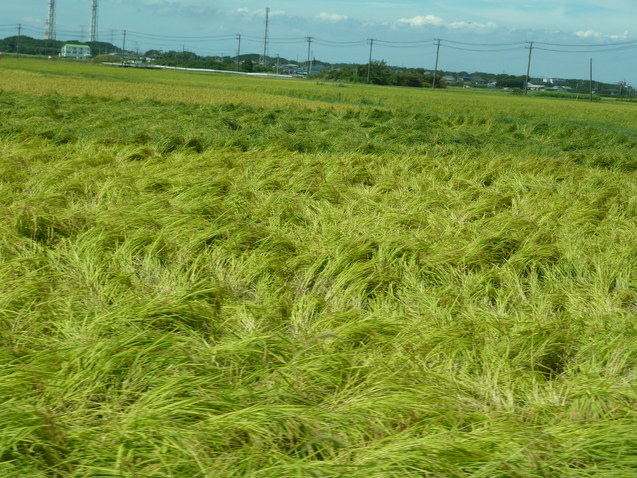 e0278968_22411972.jpg