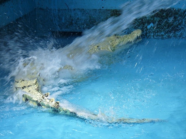 c0105569_0365523.jpg