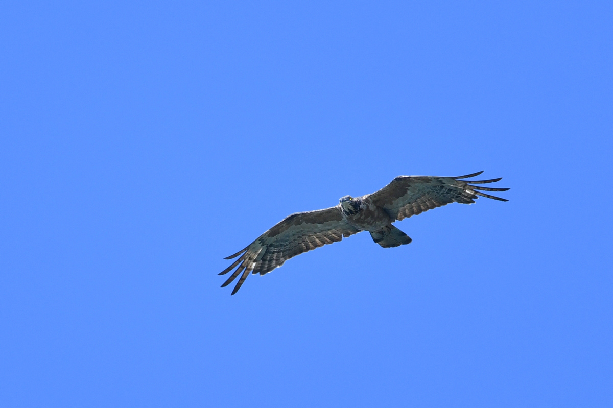 f0053272_0145687.jpg