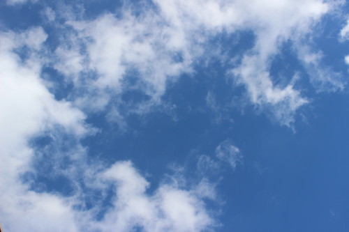 e0114977_8201510.jpg