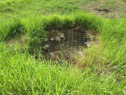 f0053885_20115049.jpg