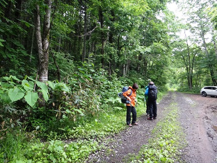 c0018489_042319.jpg