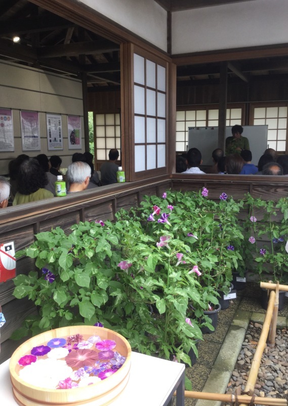 a0027290_16002866.jpeg