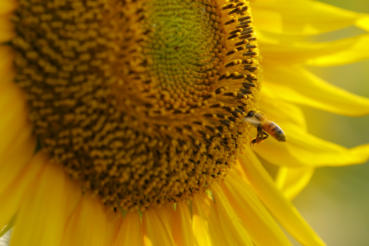 a0290990_2354171.jpg