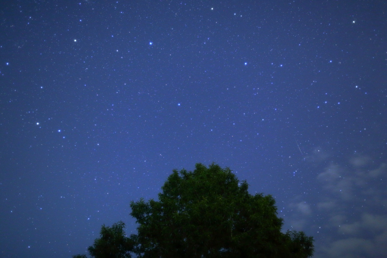 a0155104_11053591.jpg