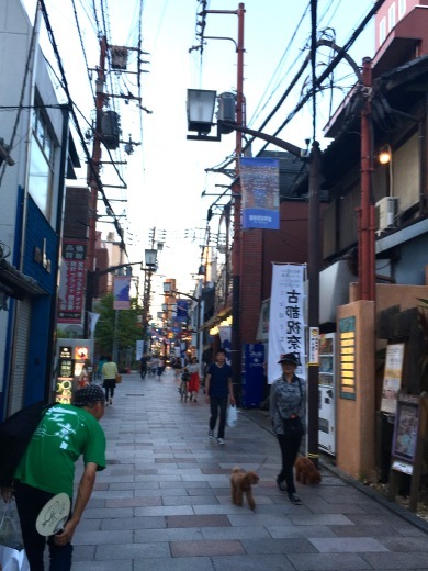 a0213806_21230839.jpeg