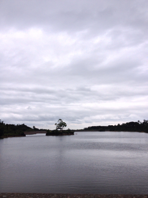 d0077607_13342547.jpg